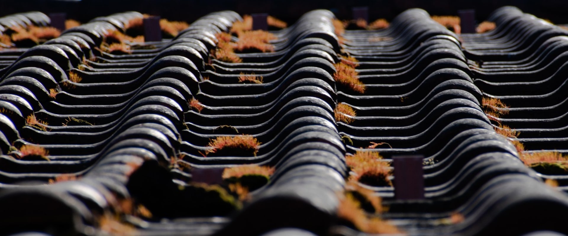 Protect Your Home: Roof Maintenance and Locksmith Tips